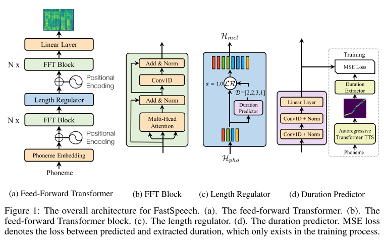 model structure