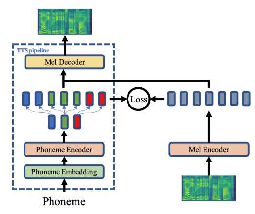 model structure