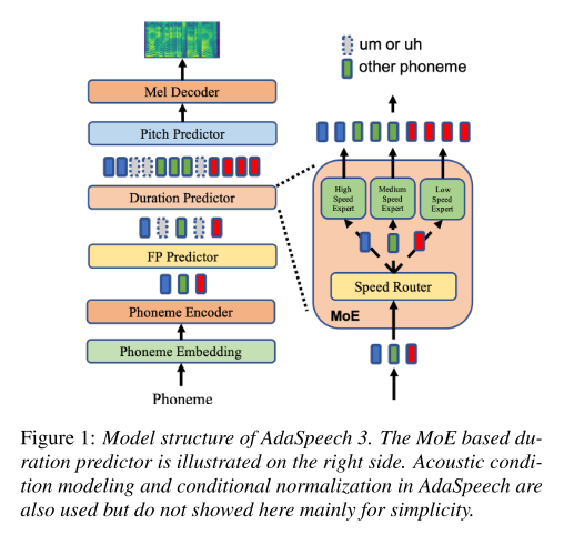 model structure