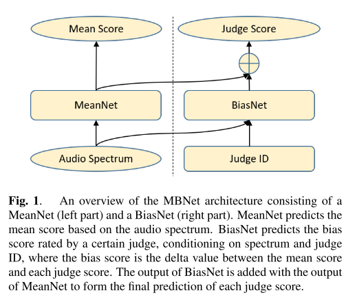 model structure