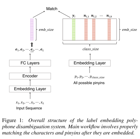 model structure