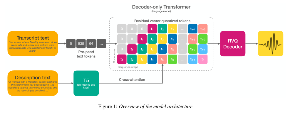 model architecture